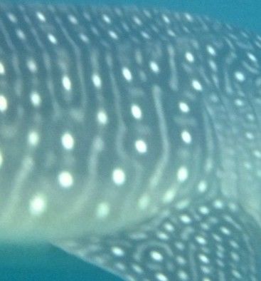 c3897031-a2c2-4bc9-8e4c-5e8e8cabee69