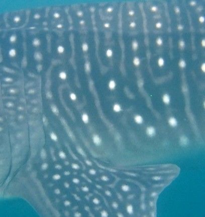 c3897031-a2c2-4bc9-8e4c-5e8e8cabee69