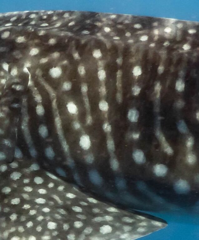 c8f764d2-6c44-4f5b-8c67-eb7a707c2db8