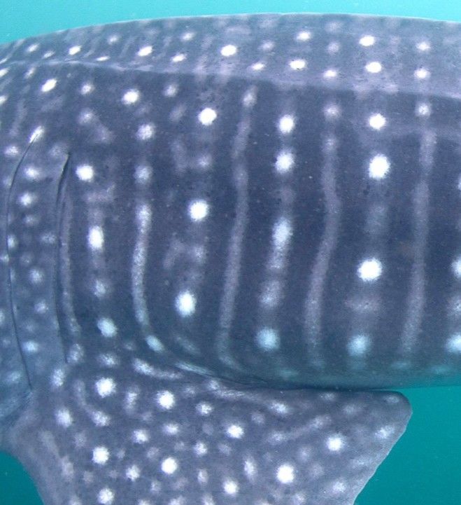 632741e8-208c-40ae-b08a-fba289c9ad25