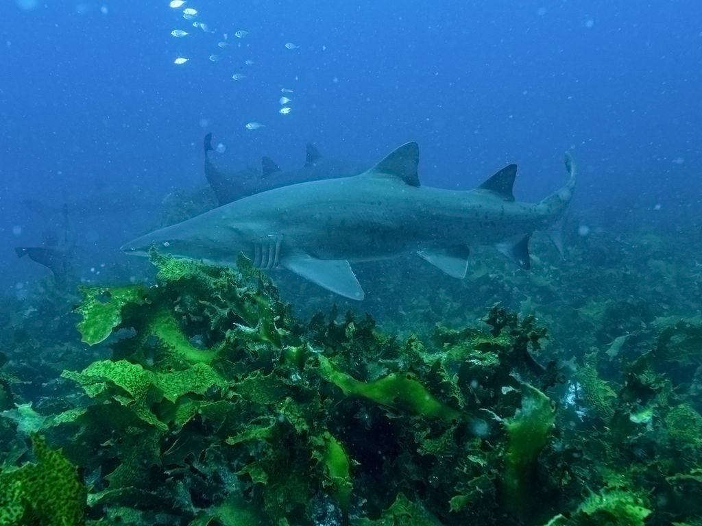 d563b574-0a2a-47d4-9d31-221020b03b8a