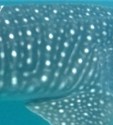 2369f1c5-a5be-4940-9baa-6ffcca7ca283