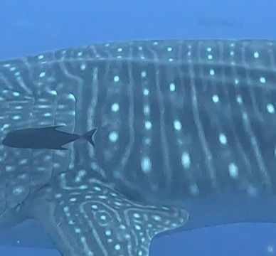 e91e61fb-ed8f-4b3d-a2eb-7d5cfb194ed4