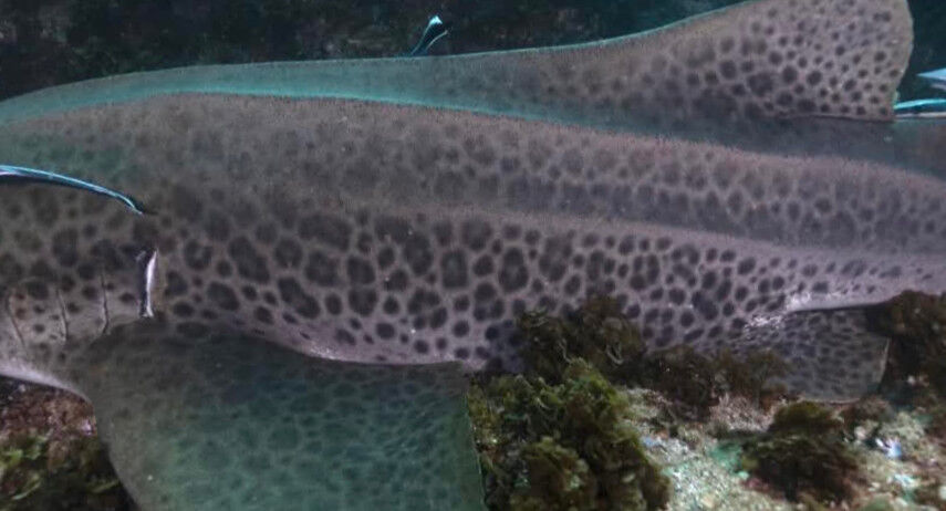 3d482080-3e40-42b1-8c47-afc025be04ed