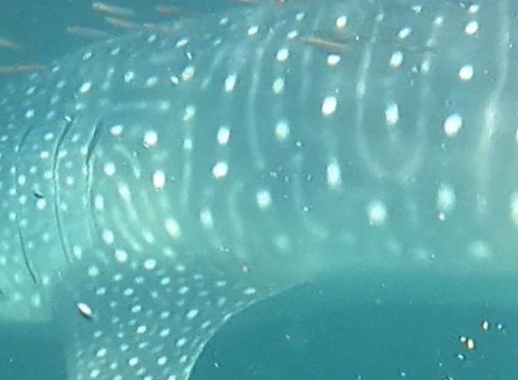 32813f60-7fb4-44f7-969e-23b7d80e072d