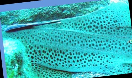 dcd28cec-6ec7-45a5-95d5-65ccd96f20f2