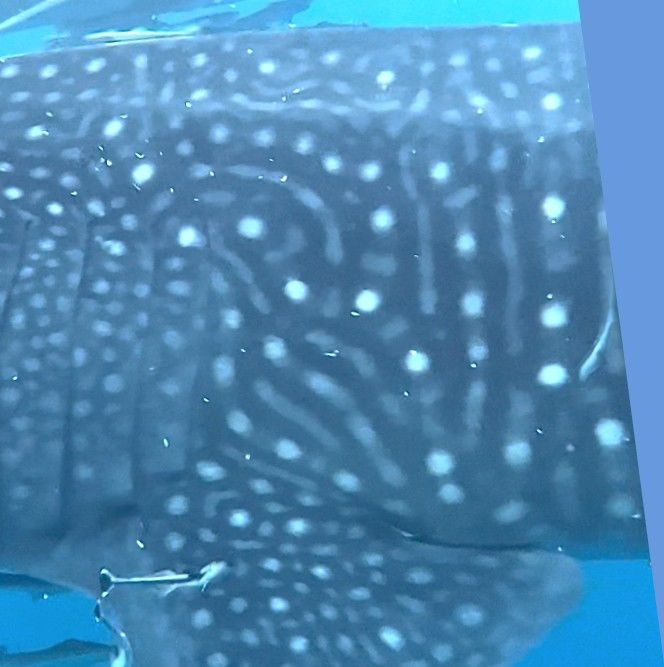 2f6af2be-0d8b-4b92-9ffc-b220eefd5e51