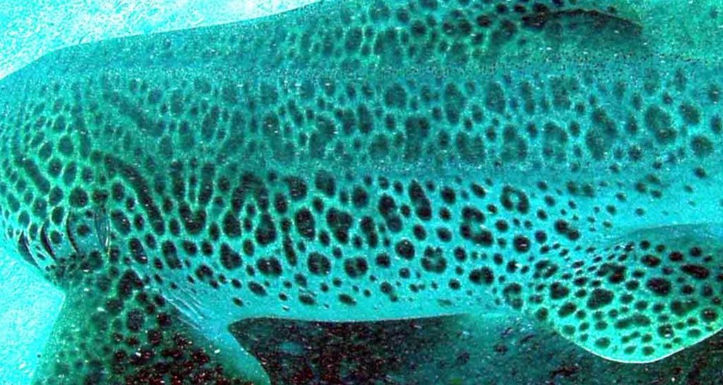 5d2c1eb1-0a67-4ca4-aa21-112fe7dd37d3