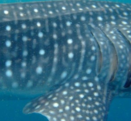 ee5ed59a-c4d2-42fd-9993-e2c9126bf916