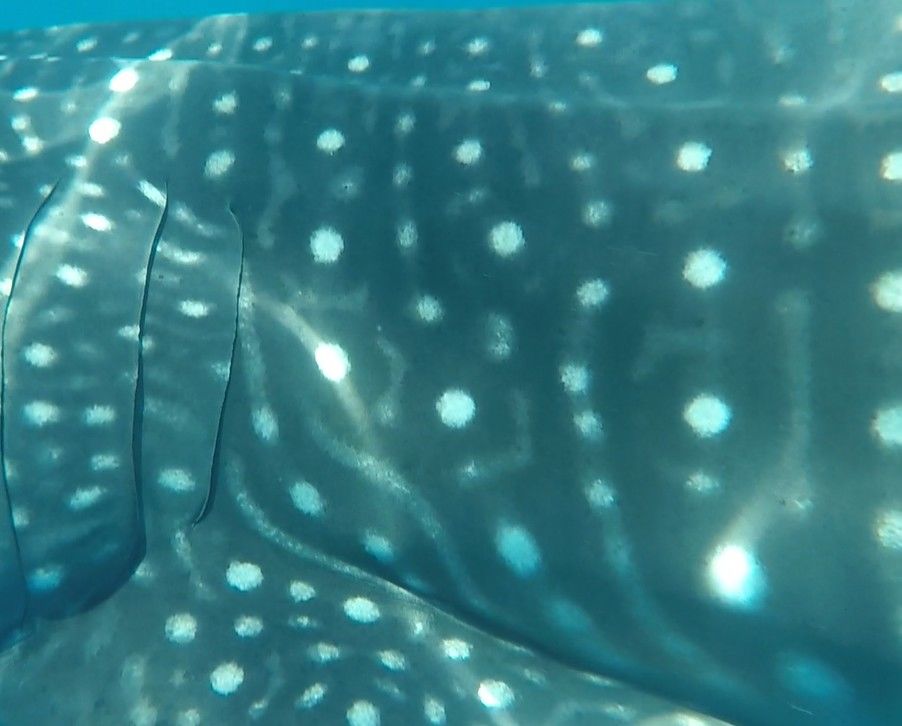 d588ac65-7242-487d-a2ce-0ecac52945a9