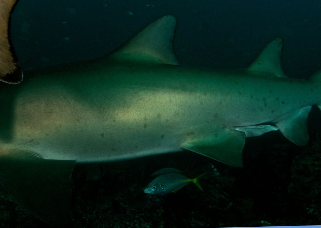 09932c54-b14c-4aa8-9172-b46f1219708a