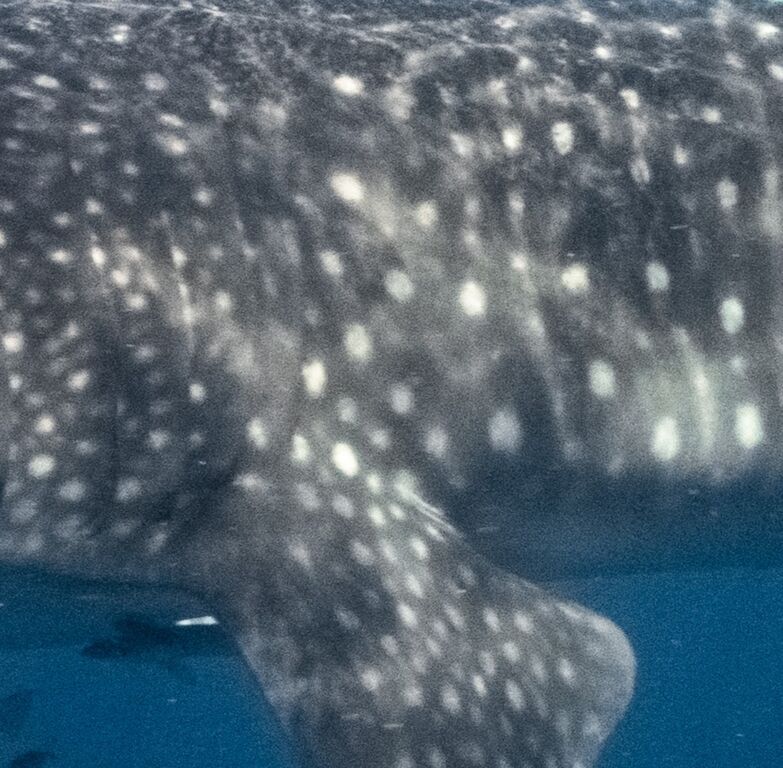 a337b03b-33e0-4a9b-9a41-bdd63f1aa631