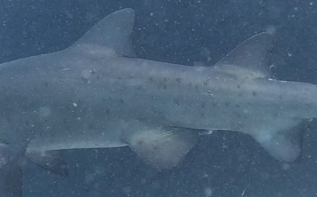 fd32378f-9d9a-42c1-96b7-a49c8100592c