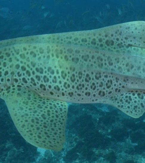 55e2f9e9-8464-47a1-9bd8-d76219fa0180