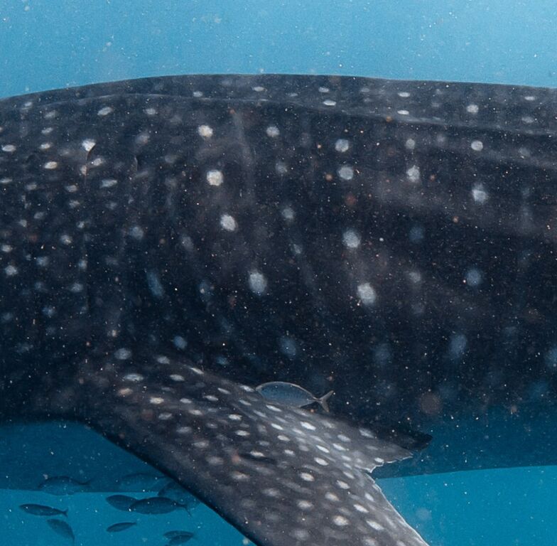 95222eeb-79f9-40f8-a324-5396052207cc