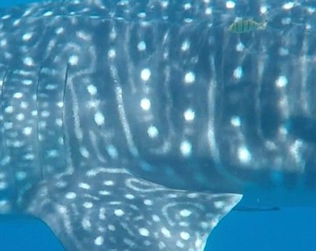 a0dd0754-cdc5-4f64-8a34-f752b8766432