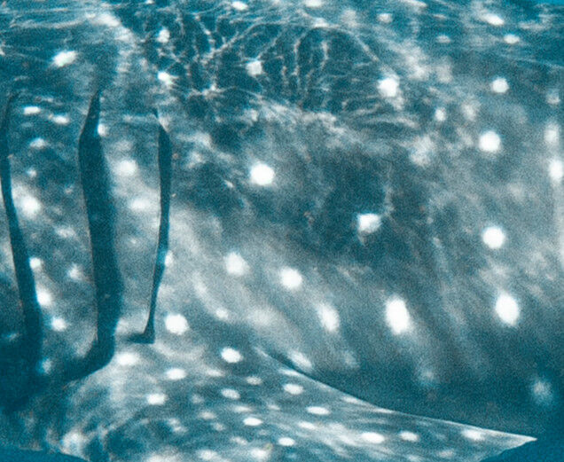 356e76b9-2dd7-4e7e-a17f-7016be55f424