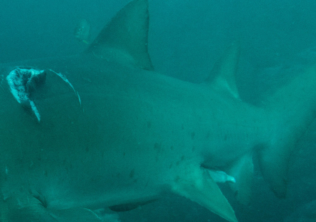 83587d0b-23ac-462e-bd63-f497fe66796b