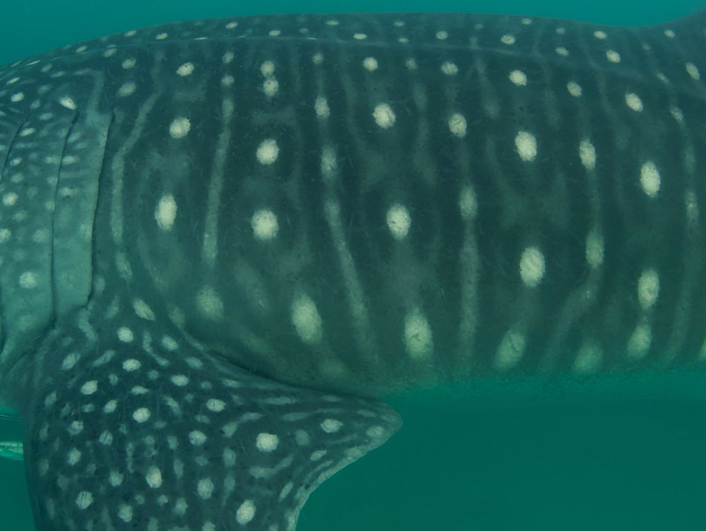 91dc0676-5d89-40a1-9578-a981c2b145ca