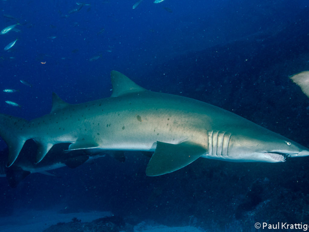 7ae87505-cb87-4441-aaa5-8647bc654198