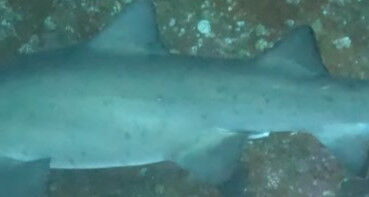 f9a132f2-6800-451c-9700-d692ad72811e