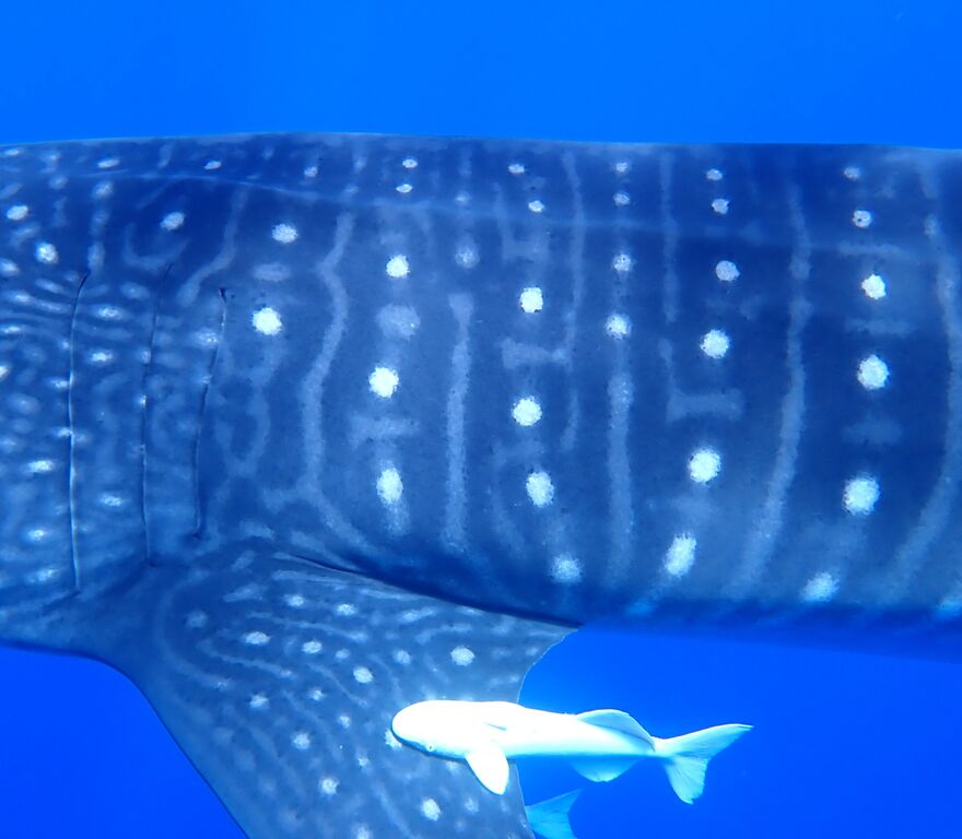 b86b4115-afd3-4356-9cde-d564604a8f2d