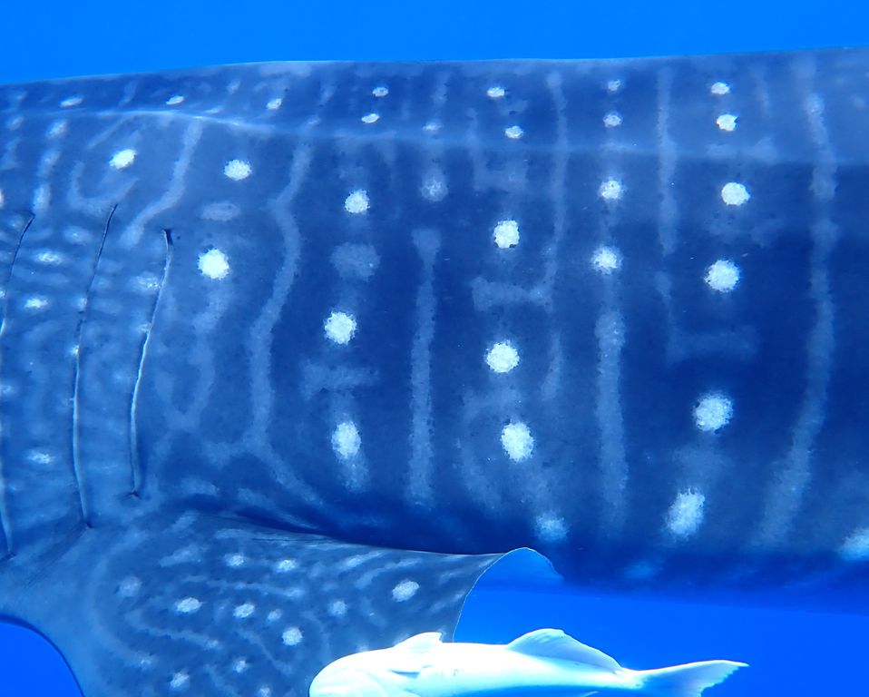 b86b4115-afd3-4356-9cde-d564604a8f2d