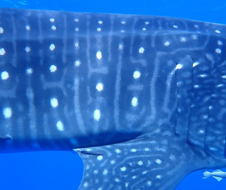 b86b4115-afd3-4356-9cde-d564604a8f2d