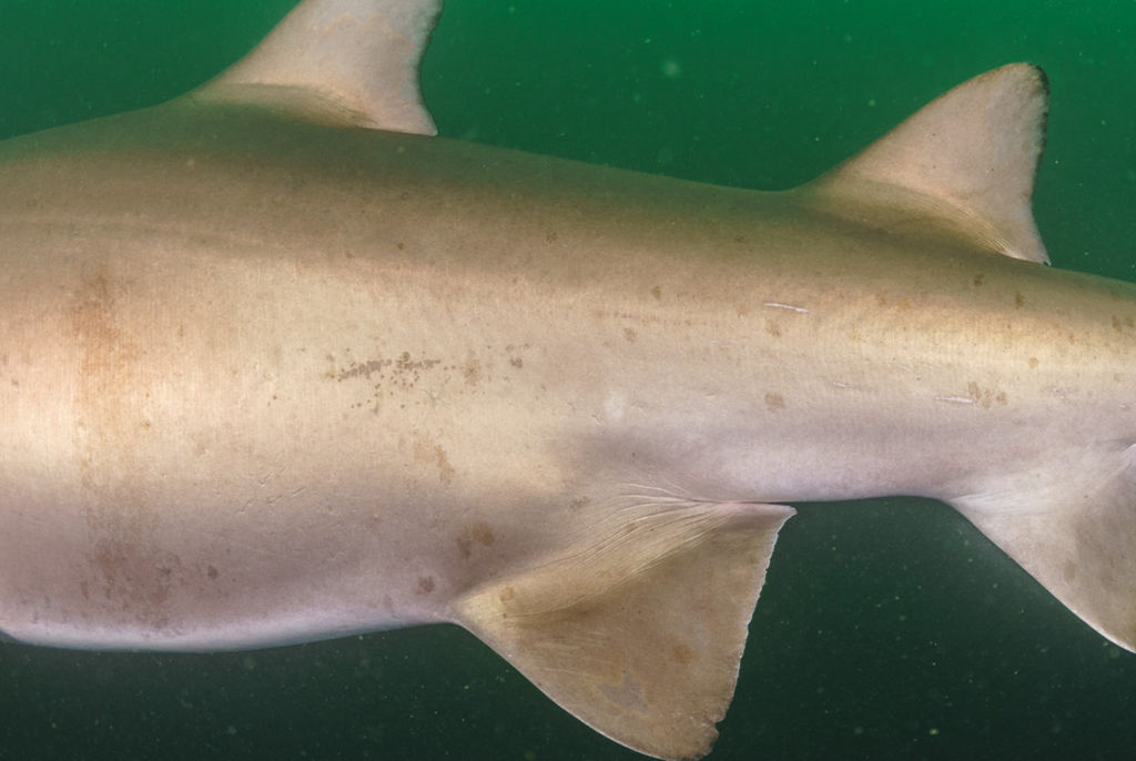 8a59c3ef-0c6e-44ea-b98d-ff864d0579ca