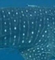 c2722779-30b3-4468-a2f5-944a86c3e5c3