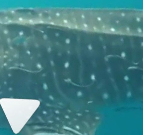 c2722779-30b3-4468-a2f5-944a86c3e5c3