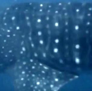 efba4fd2-1643-4a1e-96c2-010d1cdb8163