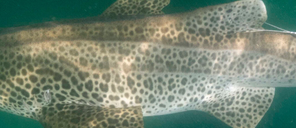 2f75c6ba-4d90-477f-a553-a9d2b92617cc