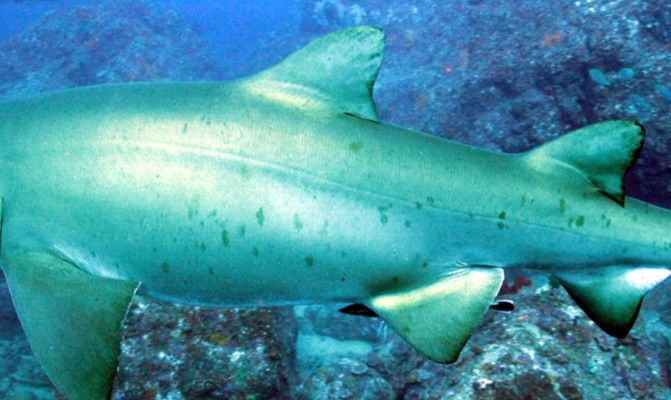 b4316857-a391-4b14-8a34-f37e3474ce9f