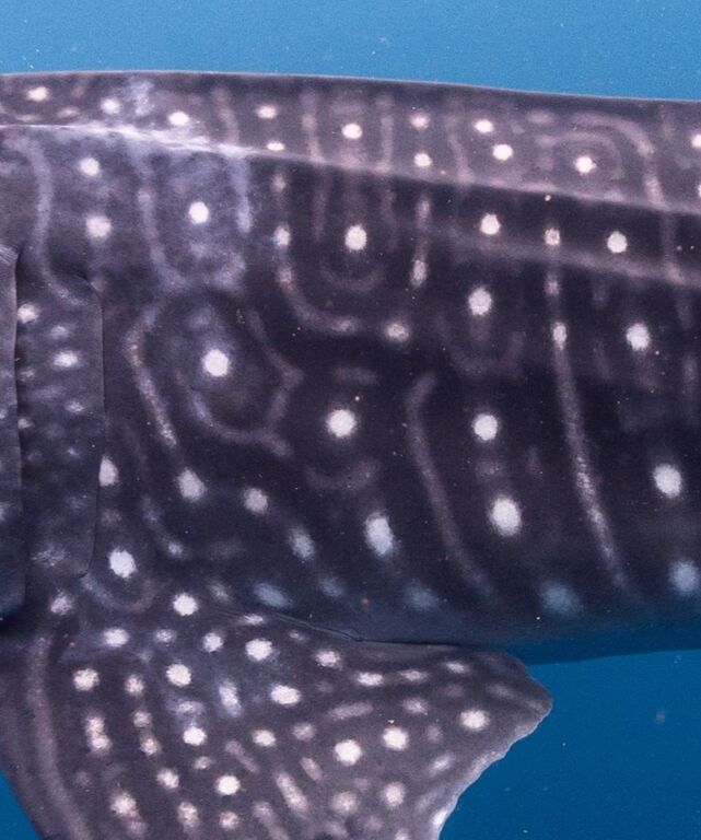 356e76b9-2dd7-4e7e-a17f-7016be55f424