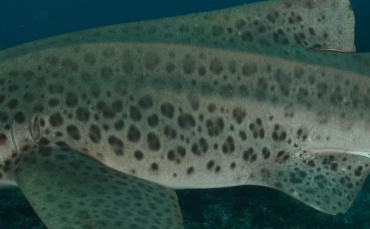 a120f652-9ec0-437c-9eb2-ea69868576e1