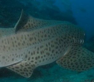 52a0381f-5a25-41f0-97e1-a029631281b7