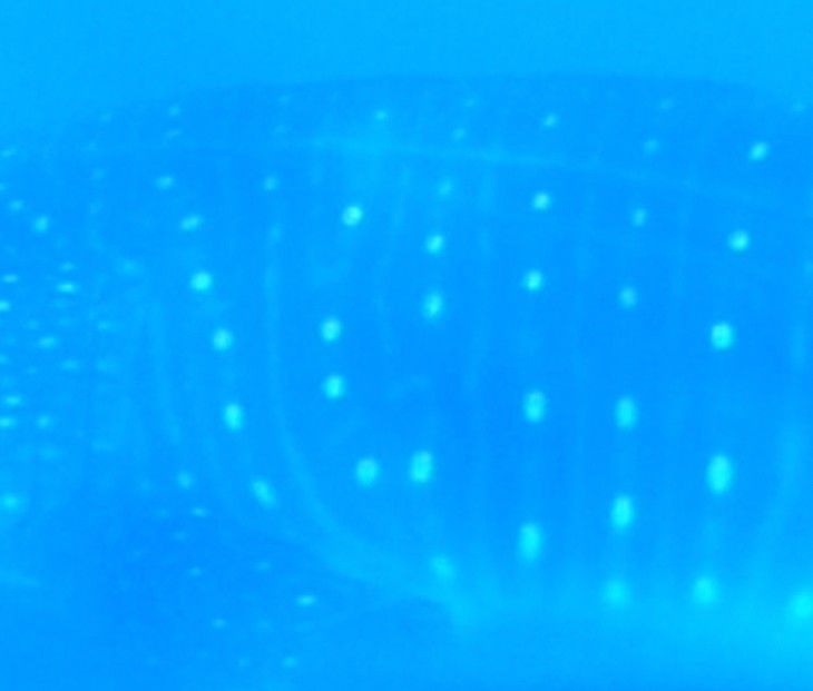 0d3526b5-da21-4fa4-86cb-18675d4d1f39