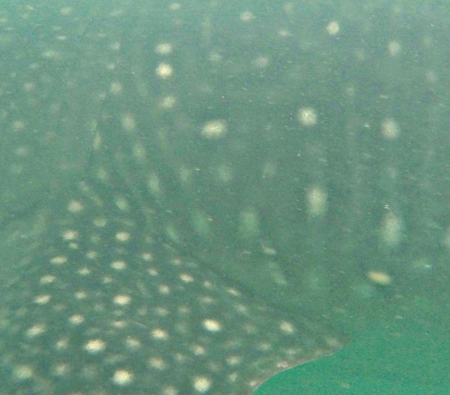 53a9613f-8381-4c3c-9634-20f953dbd860