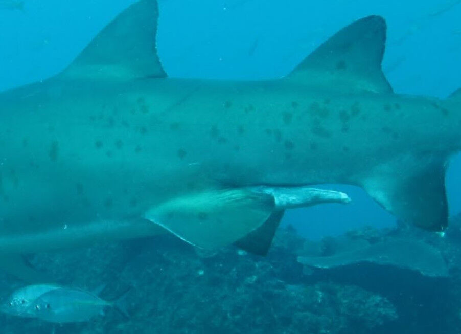 cfd169ad-17b8-411d-ad6e-b07ffbbf2954