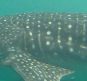 39dea10c-3ec2-4813-9c02-51477a463de5