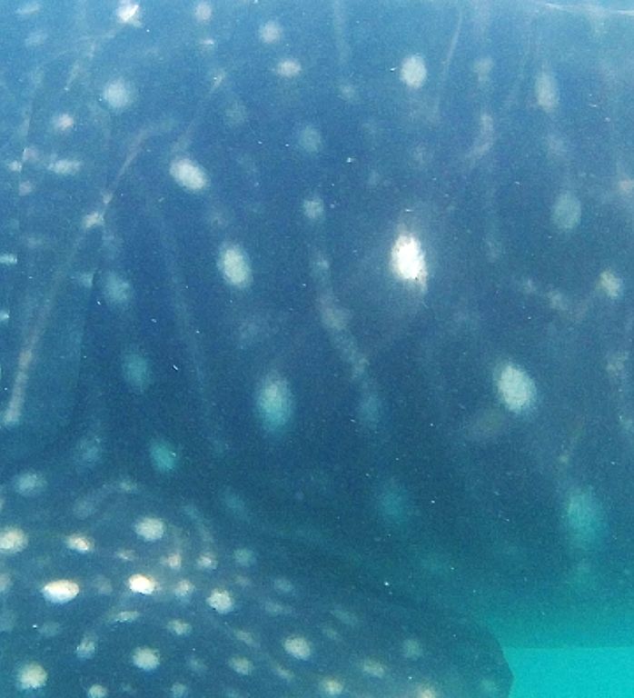 41196b70-2681-4ca7-9c62-2769257c7449