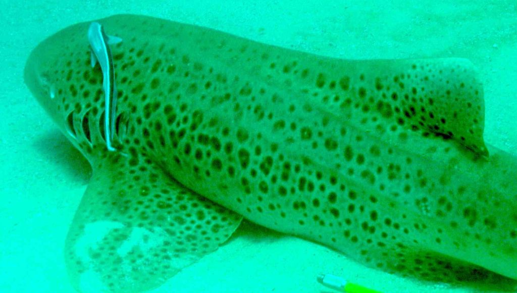 b775d9a8-2131-4fbc-9751-e53bc3f5d190