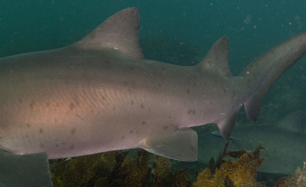 7f9f7930-97d8-4534-95f4-d85a60b195b7