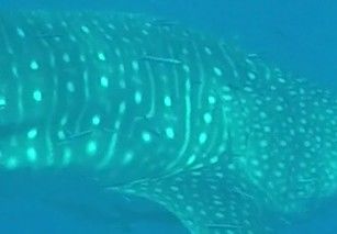 1f25a279-de6d-4f62-a263-10c46830efc8