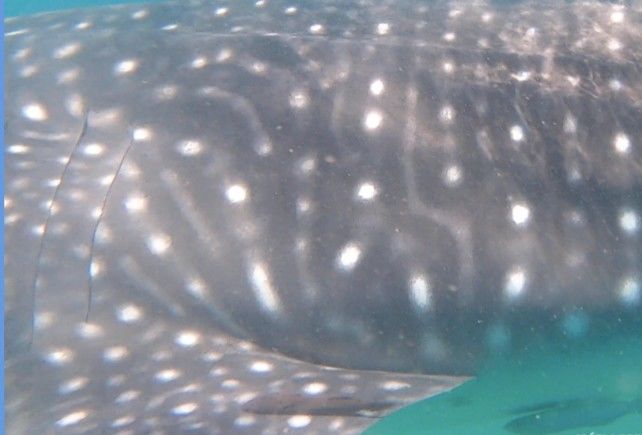 4198707c-1b29-4745-9f22-250e3e469ce2