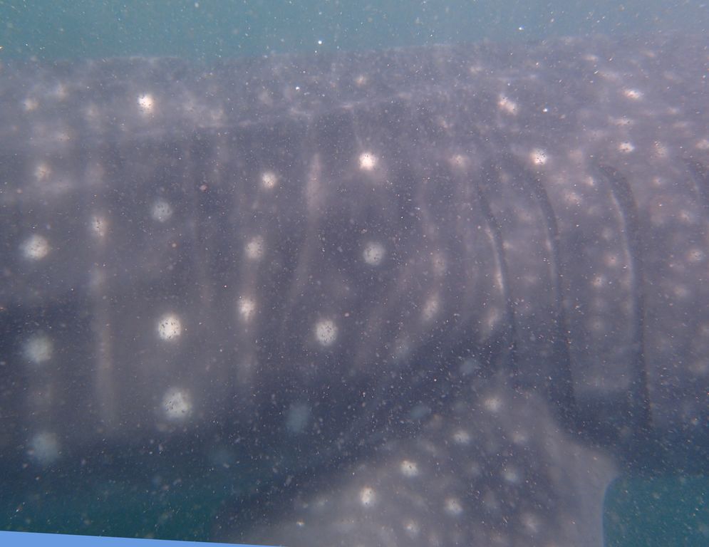 65ff1595-4deb-453b-a5ab-90358ec6b67f