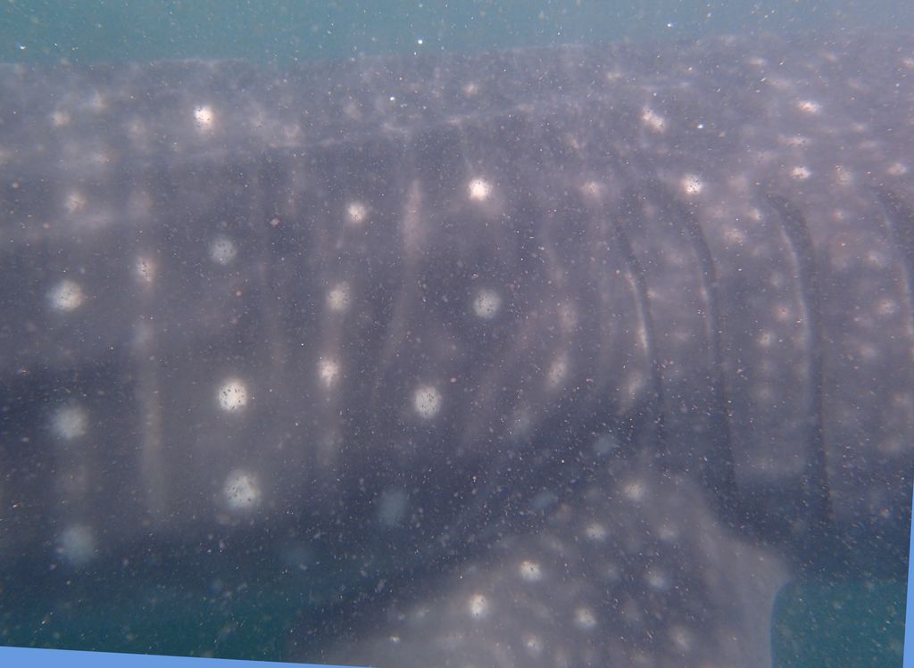 65ff1595-4deb-453b-a5ab-90358ec6b67f