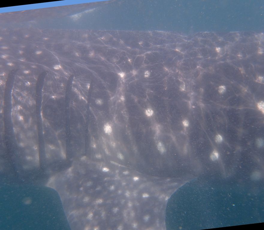 65ff1595-4deb-453b-a5ab-90358ec6b67f