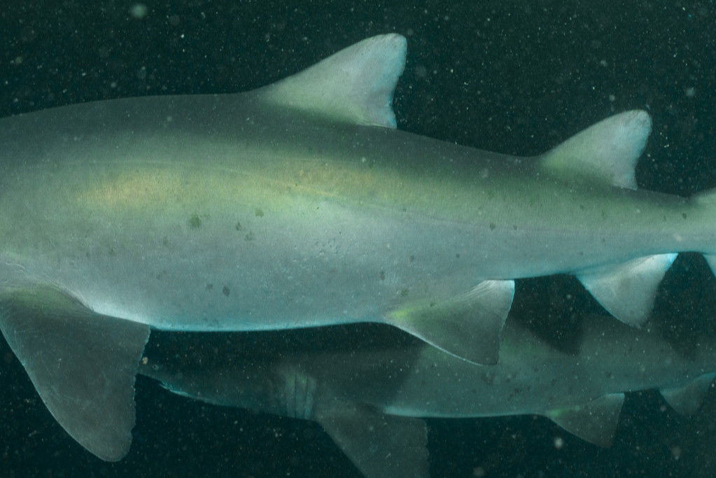 5b6ad743-833a-4557-a794-3ba2d7faf93a